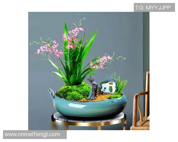 盆栽艺术：如何打造独特的室内绿意空间，提升生活品质与美感