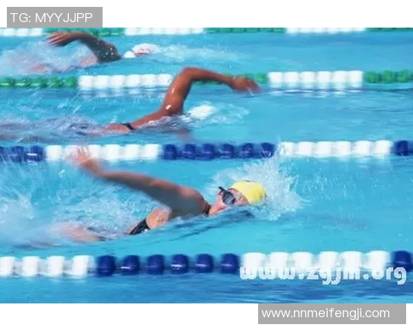 游泳运动员的成长之路：从初心到世界之巅的奋斗与拼搏