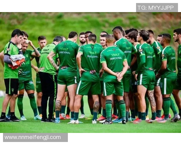 雪缘巴西甲级联赛积分榜最新更新与分析