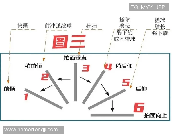 乒乓球技艺探秘：杭州乒乓球队反击战术的深度解析与启示